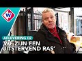 Hard voor Weinig: Steeds minder klanten op de Haagse Markt – OMROEP WEST