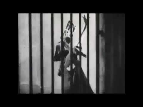 Cannibalistic Death Cult - 12 Asterisk Megumi