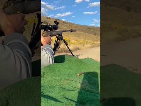 Federal .22 LR Hollow Point - Bulk Ammo Shooting Review - 7 Gun Test - WOW! - Only Two Guns Liked It