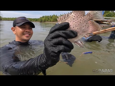 EP848-P1 - Panlalambat ng Isda