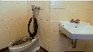 Defecation Watch | National Geographic