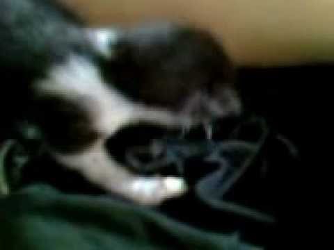 Kalinda, cada dia mais minha.