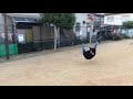 なにか技やってと即興でお願いしてみた。