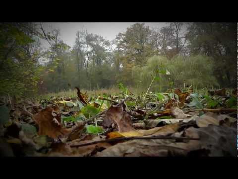 Mark & Marije gaan trouwen!