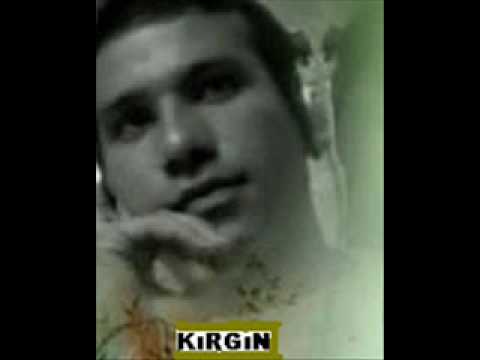 halley dreams plaka 63