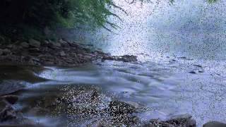 Laurie Lewis & Tom Rozum - Dream Of A Home