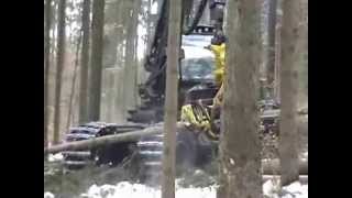 preview picture of video 'Holzernte - Forstunternehmen Mirwald Hemau'