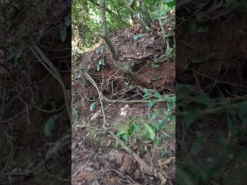 Una pequeña cascada perdida en el interior del Brasil, en Bilac, São Paulo.