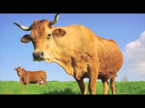 Julien Dyne - Incredulous