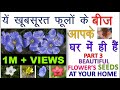 beautiful flower seeds at your home ये फूलों के बीज आपके घर में ही है secrete flowers 3 kitchen seed