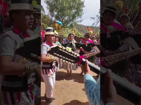 wayño en Norte Potosí provincia Chayanta #cultura