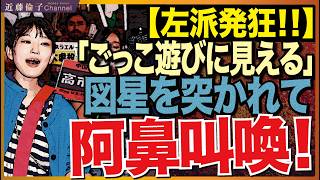 自民門ひろこ議員「本気で政治を変えたいなら今すぐ政党を作って人々の支持を集めて、政治を打って出ればいい」←左派痛いところを突かれて発狂！まるでアナフィラキシーショックのよう。　近藤倫子チャンネル
