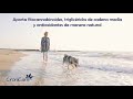 Video: Suplemento nutricional a base de extrato de cañamo y omega 3 para perros CRONICARE