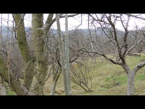 Valeni Dambovita - grava alunecare de teren