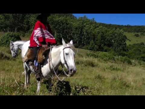 LARGA CHARLA CON CHURRINCHE PAISANO DE TRES CERROS RIVERA URUGUAY
