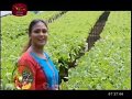 Rividina Arunella 2019 01 27 Agricultural Programme