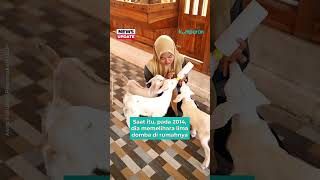 Download lagu Lulus Fapet UGM, Pilih Balik Kampung, Kini Jadi Juragan Kambing Beromzet Ratusan Juta mp3