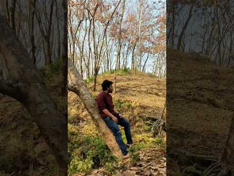 Kahaani | When Chai Met Toast #shorts #song