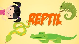 Belajar Mengenal Nama-nama Reptil | Bunbun Learning Reptile