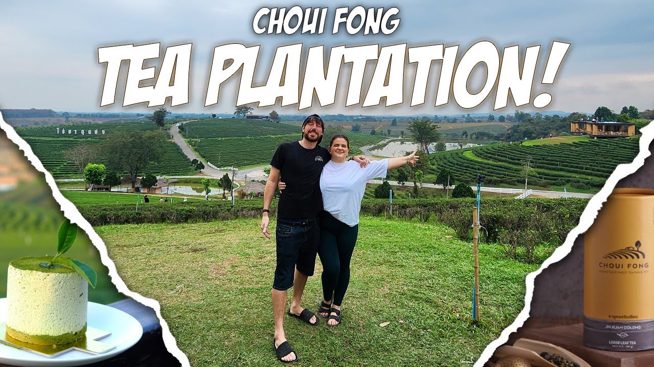 Explore the Choui Fong Tea Plantation and indulge in an array of exquisite teas.