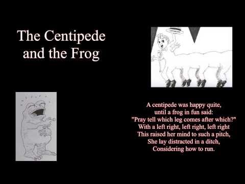 The centipede and the frog for two equal voices