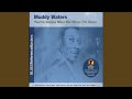 Little Geneva - Muddy Waters - Topic Little Geneva