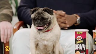 Not, Not Worth Getting Upset Over: Pugs (presented by Pringles Wavy) – Episode #1