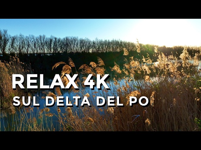 Sound Design Delta Po