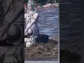 Shiv Ka Pujari Hu