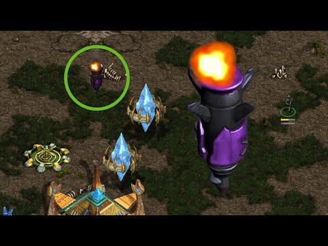 NUKES VS PROTOSS !?!?!?