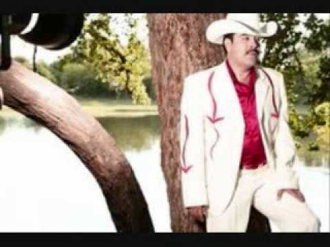 SERGIO VEGA MI HUERFANO ALAZAN.