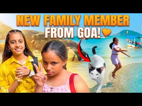 Goa Mein Mili Ek Special BILLI! 😻