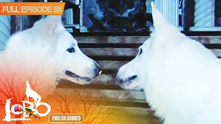 Full Episode 58  Lobo English Dubbed