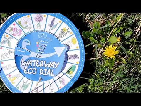 Waterways Ireland - Spring Video