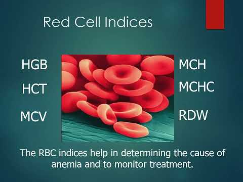 4.RBC Anemia updated
