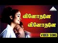 வினோதனே வினோதனே HD Video Song தென்னவன் விஜயக�