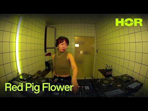 Red Pig Flower | HÖR - March 17 / 2025