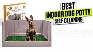 3 BEST Indoor Dog Potty Self Cleaning