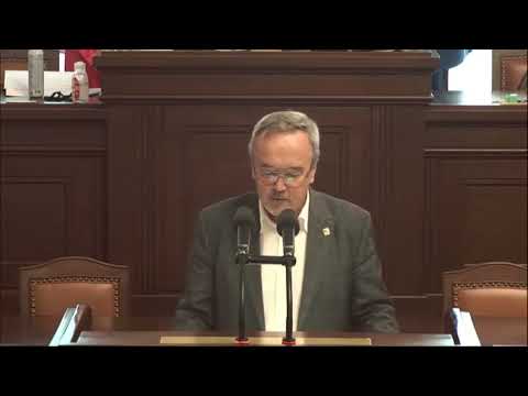 Vystoupení v rozpravě na mimořádné schůzi sněmovny k zavedení korespondenčního hlasování