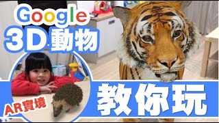 [問卦] 台灣會有那種家裡有動物園的富豪嗎？