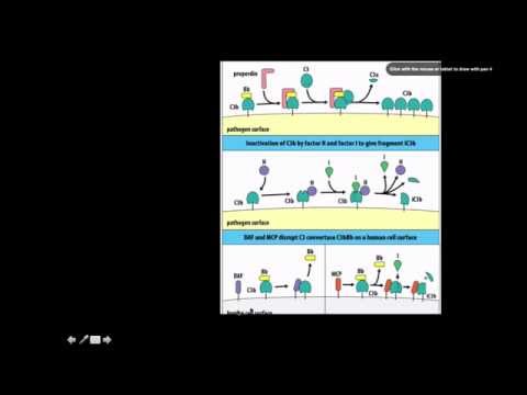 Immunology: Complement Control Proteins
