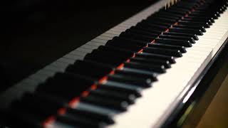 ⚜️ 𝑷𝒂𝒖𝒍𝒂 𝑪𝒓𝒊ș𝒂𝒏 - 𝑺𝒐𝒍𝒐 𝒄𝒐𝒏 𝒕𝒆 ⚜️