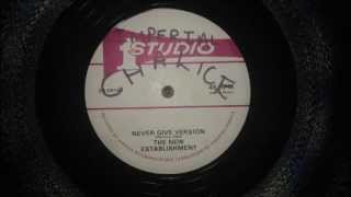 The New Establishment - Never Give Version (Studio One 12")