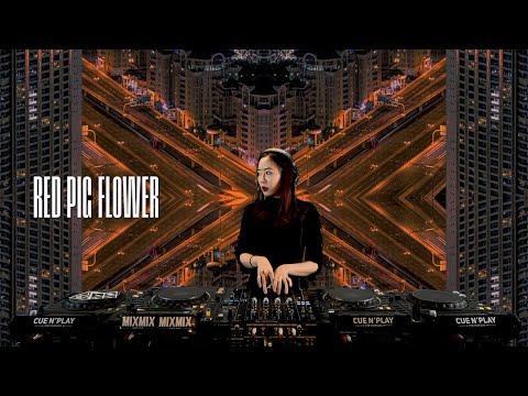 RED PIG FLOWER | MIXMIX SEOUL 2023