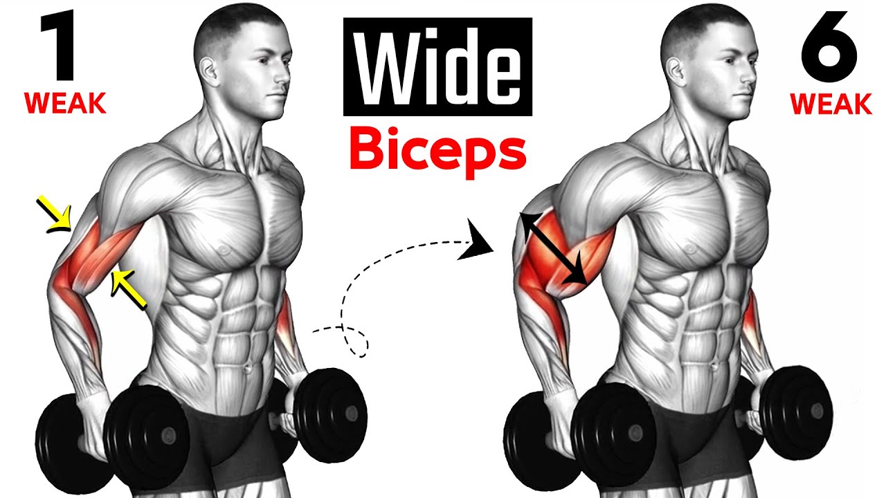 7 BEST Exercises for WIDER BICEPS