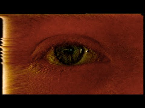 MONKYMAN - Fckisdeshrd