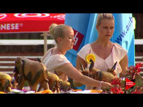 After Show Strohen 2017 - C Show