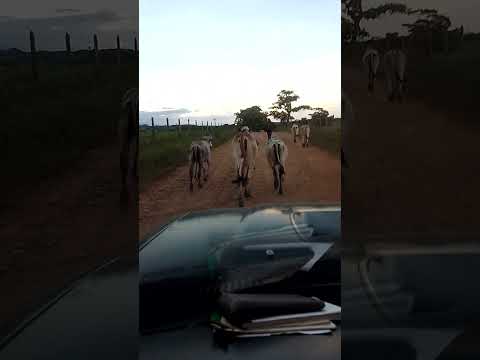 San Pedro de urabá Antioquia Tierra Bonita