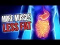 5 Tips for Better Digestion... (More Muscle Growth & Better Fat Loss!)
