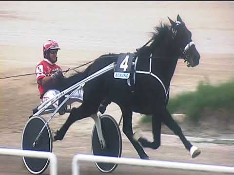 Trotto 14/10/2018 - 4ª corsa